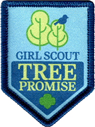 First Look at This Year's Disney Youth Programs Girl Scout Patches In Honor  of National Girl Scout Day