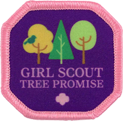 First Look at This Year's Disney Youth Programs Girl Scout Patches In Honor  of National Girl Scout Day